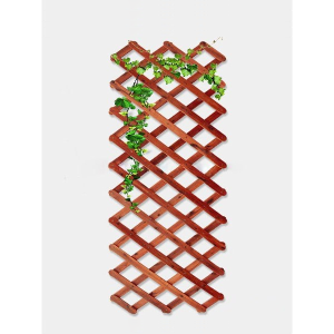 Giàn leo gỗ xếp gọn Tràm Bông Vàng-Đỏ