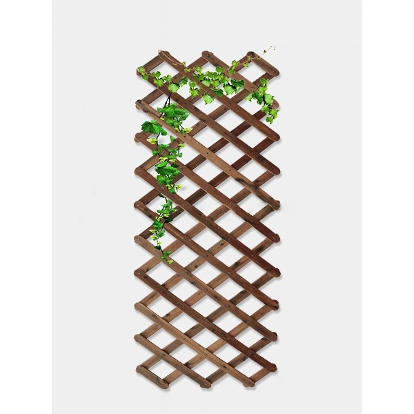 Giàn leo gỗ xếp gọn Tràm Bông Vàng-Nâu