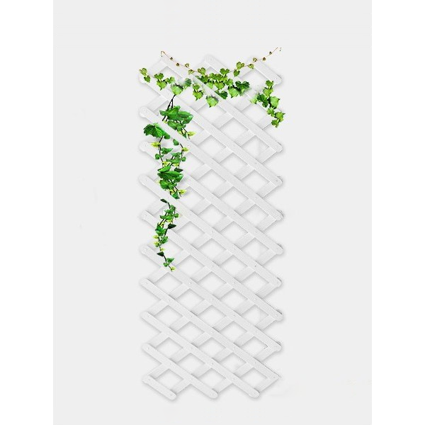 Giàn leo gỗ xếp gọn Tràm Bông Vàng-Trắng