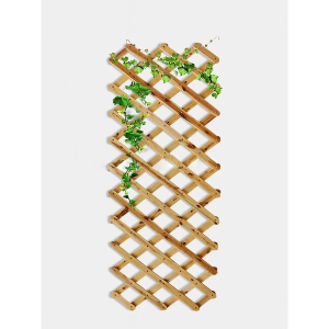 Giàn leo gỗ xếp gọn Tràm Bông Vàng-Vàng