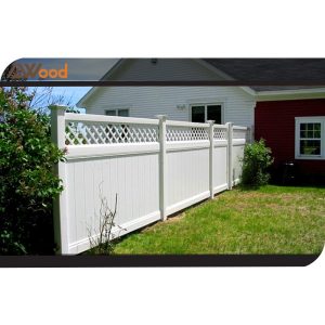 Hàng rào, cổng K19