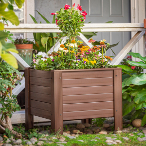 Chậu hoa ngoài trời